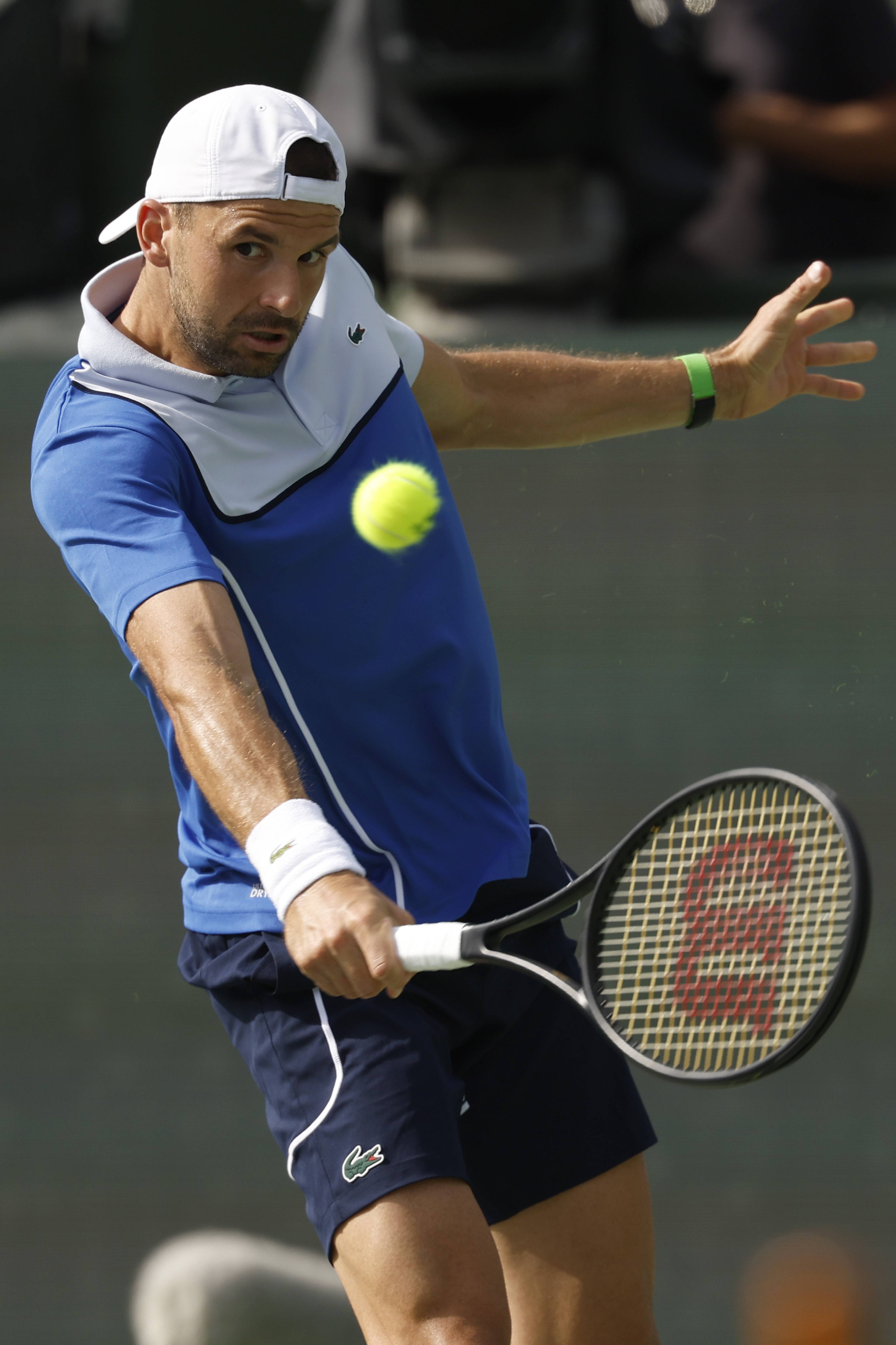 意大利网球队力克英国网球队，梅德韦杰夫高光表现的简单介绍