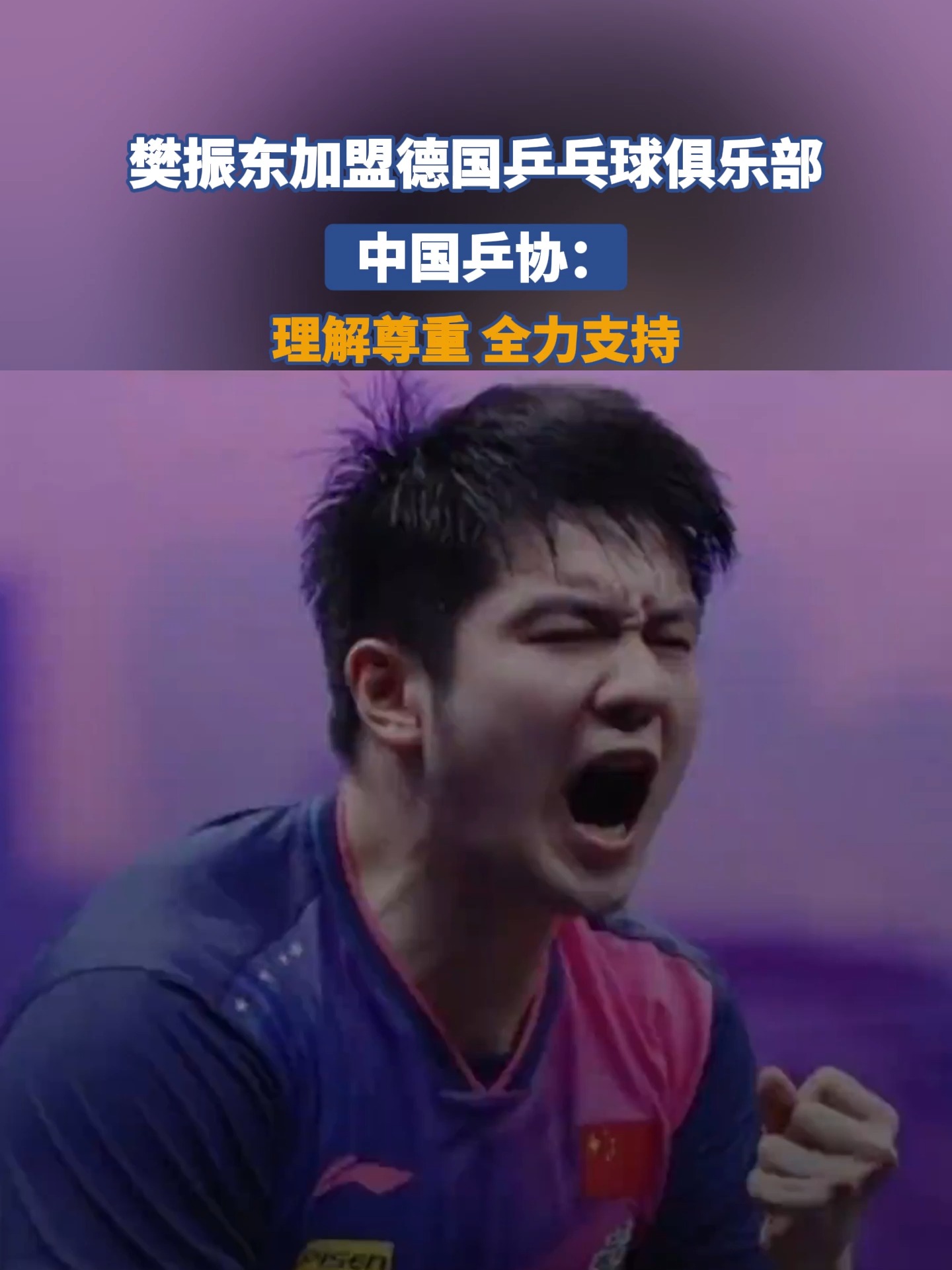 关于德国乒乓球队血洗法国乒乓球队,樊振东统治全场的信息 关于德国乒乓球队血洗法国乒乓球队,樊振东统治全场的信息