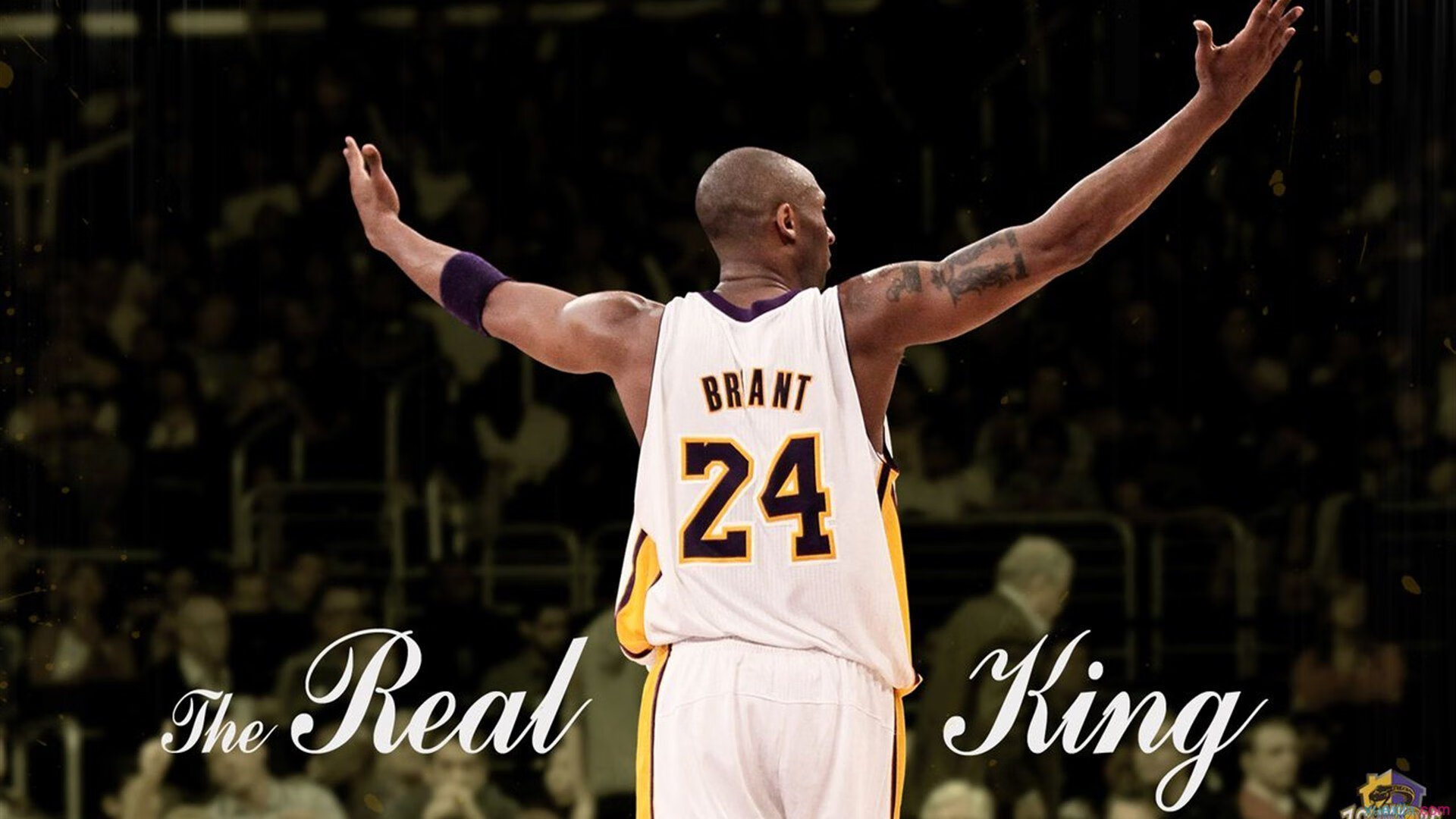 从塞内加尔速胜到拉亚时代，美加墨世界杯的战术革命与门将新纪元