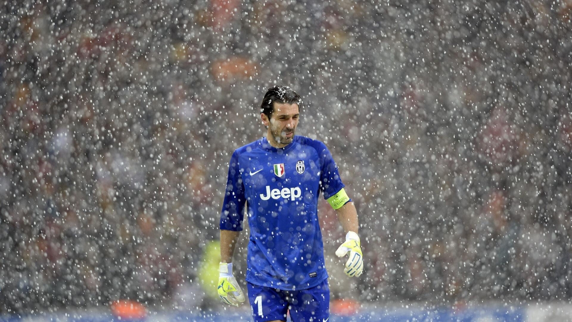 赛道与球场,霍勒迪的F1首胜与广东队的冠军之路